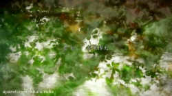 کارتون موشی شی - قسمت 15